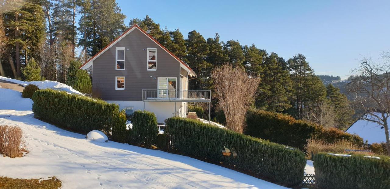 Sonneck Schonach Apartment Schonach im Schwarzwald ภายนอก รูปภาพ