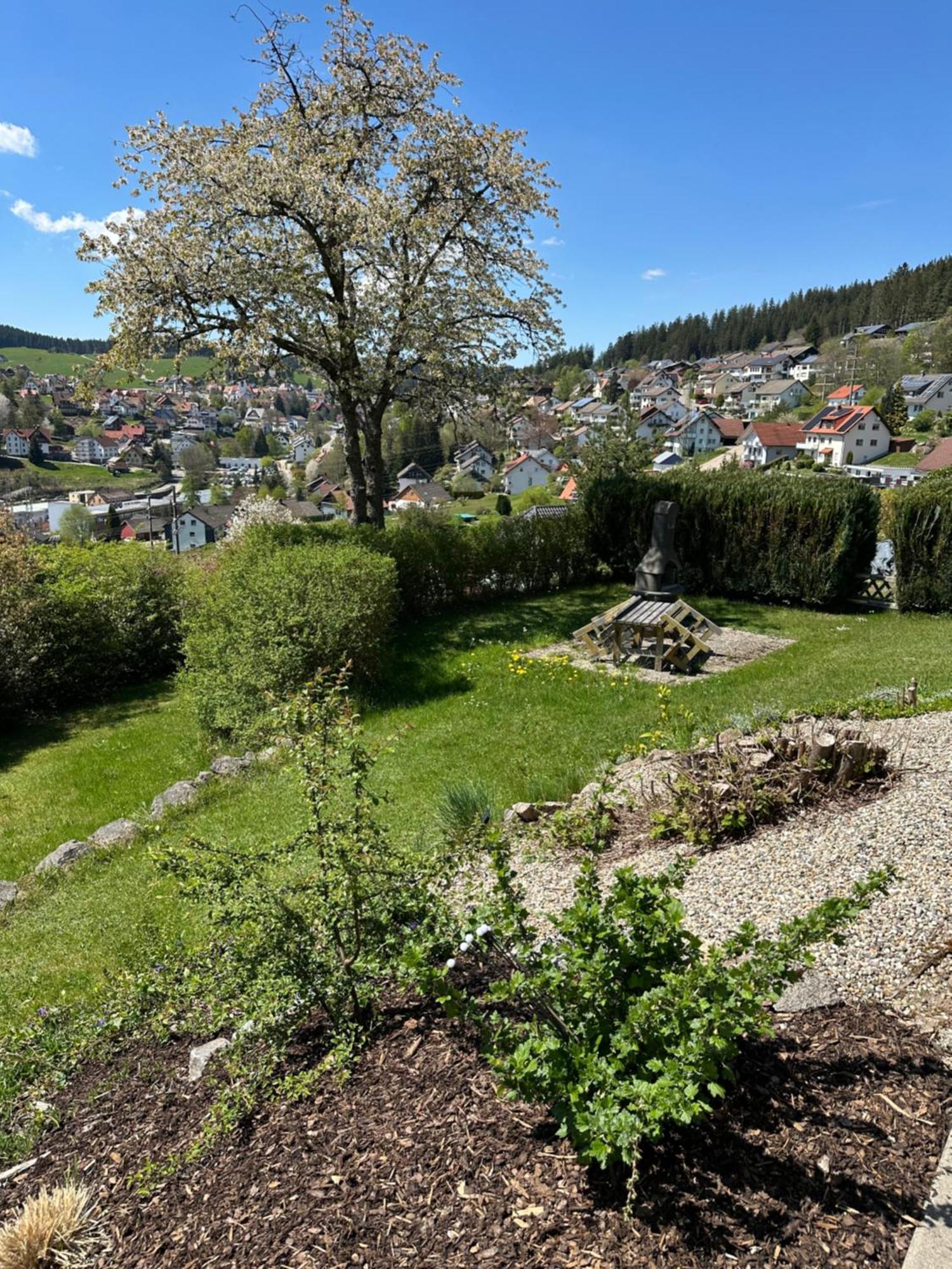 Sonneck Schonach Apartment Schonach im Schwarzwald ภายนอก รูปภาพ